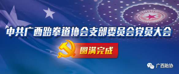 中共广西跆拳道协会支部委员会党员大会圆满完成(图1)