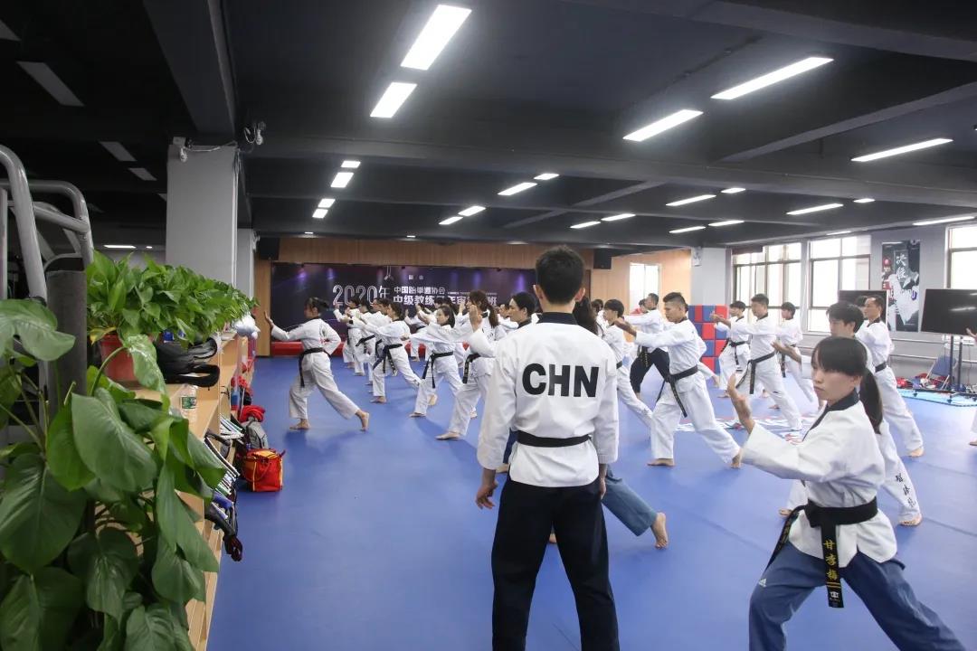 人才培养|2020年中国跆拳道协会中级教练员年审复训班圆满完成(图14)