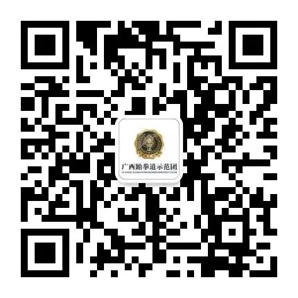 【同心前行 未来可期】广西跆拳道示范团分团招募正式启动(图18) 【同心前行 未来可期】广西跆拳道示范团分团招募正式启动(图18)